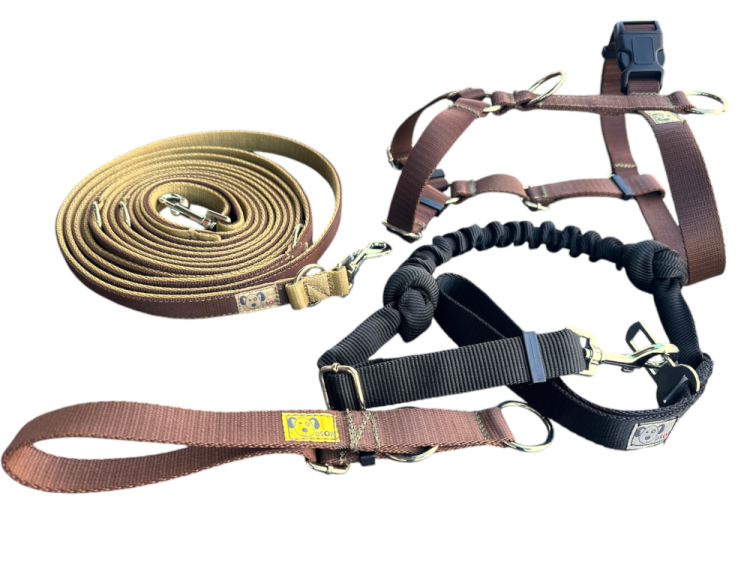 Wyprawka dla psa, 16 - 18 kg.png