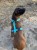 IMG_0836.jpeg