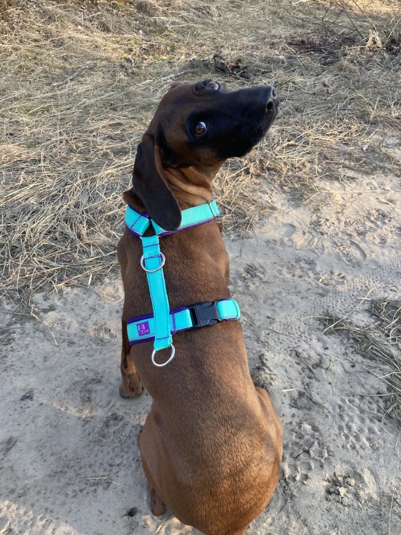 IMG_0836.jpeg