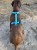 IMG_0834.jpeg