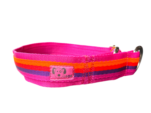 Obroża strong tecza fuksjowa na fuksji.png