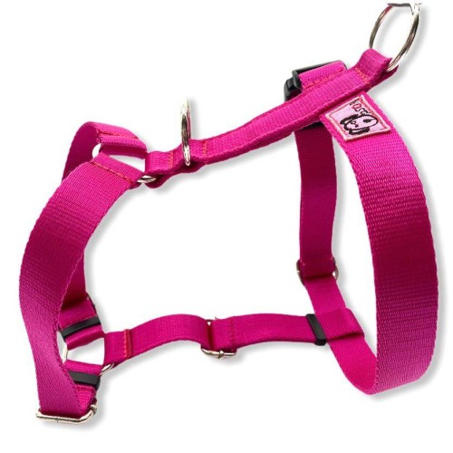 szelki guardy:fuksja.jpg