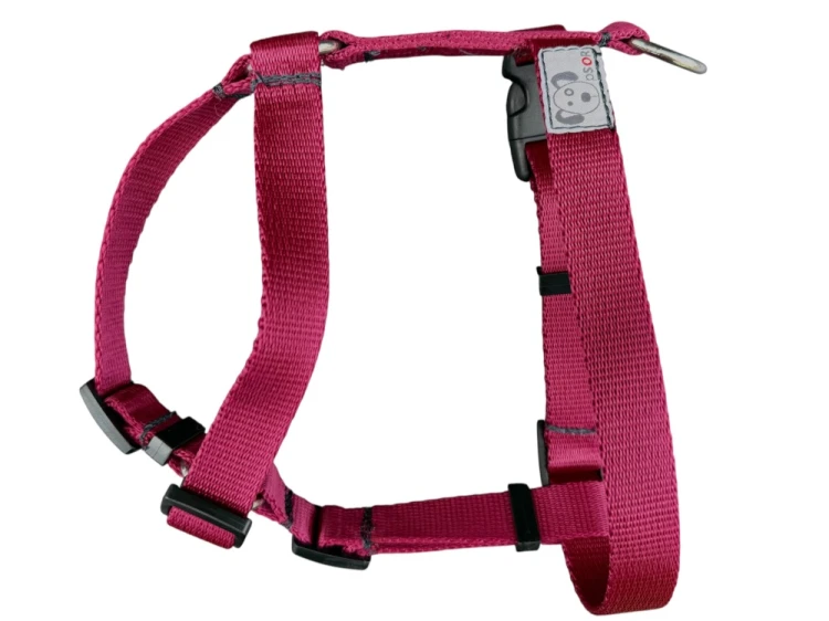 Photoroom_20260802_080834.jpeg