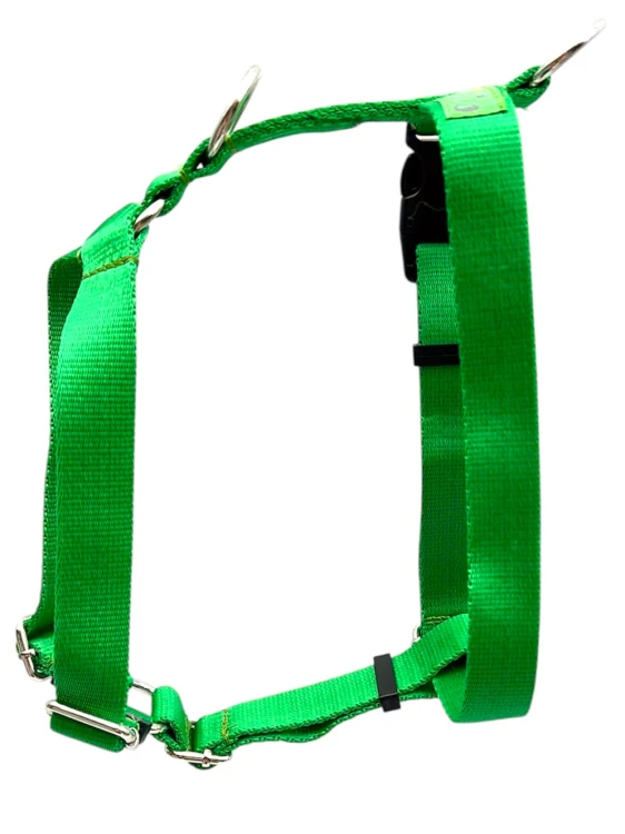 guardy:zielony żywy.5.jpg