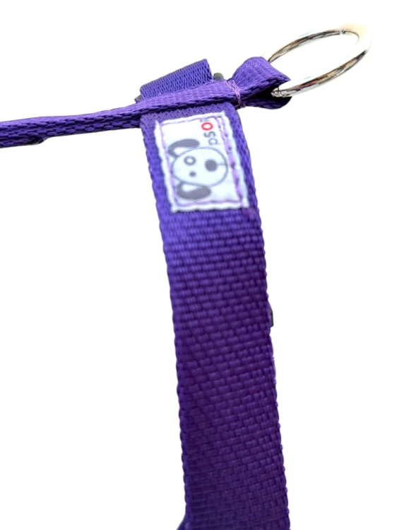 guardy:fiolet.jpg