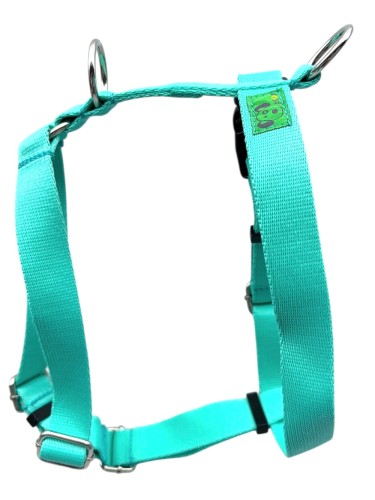 guardy:pistacja.jpg