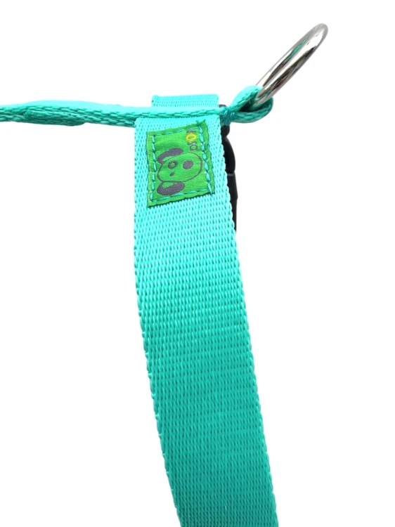 guardy:pistacja:1.jpg