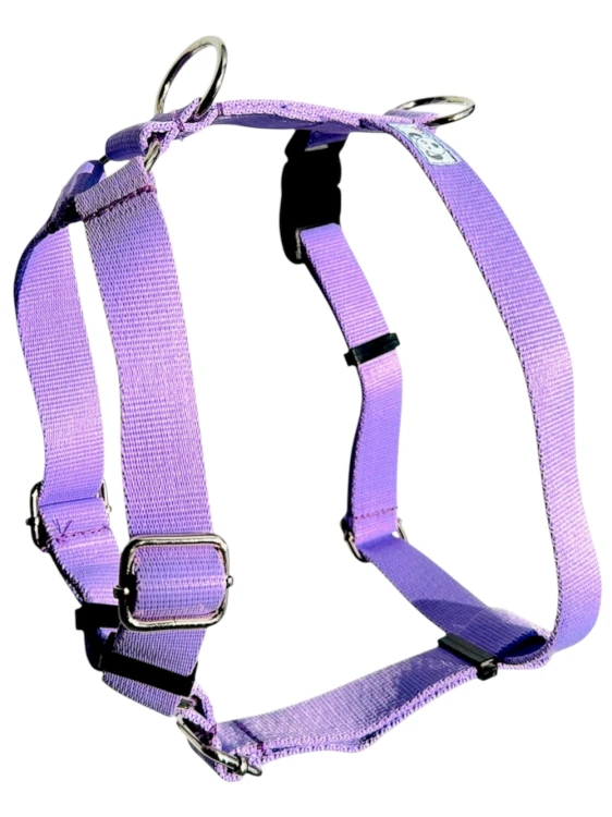 szelki:lila:1.JPG